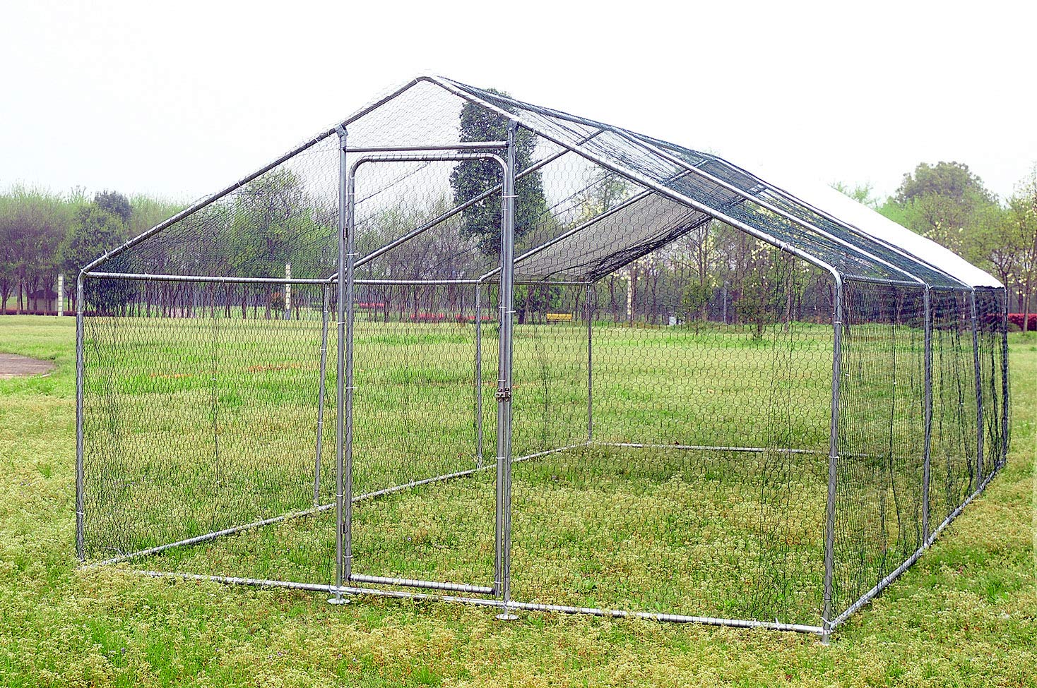 cages and enclosures in Boston